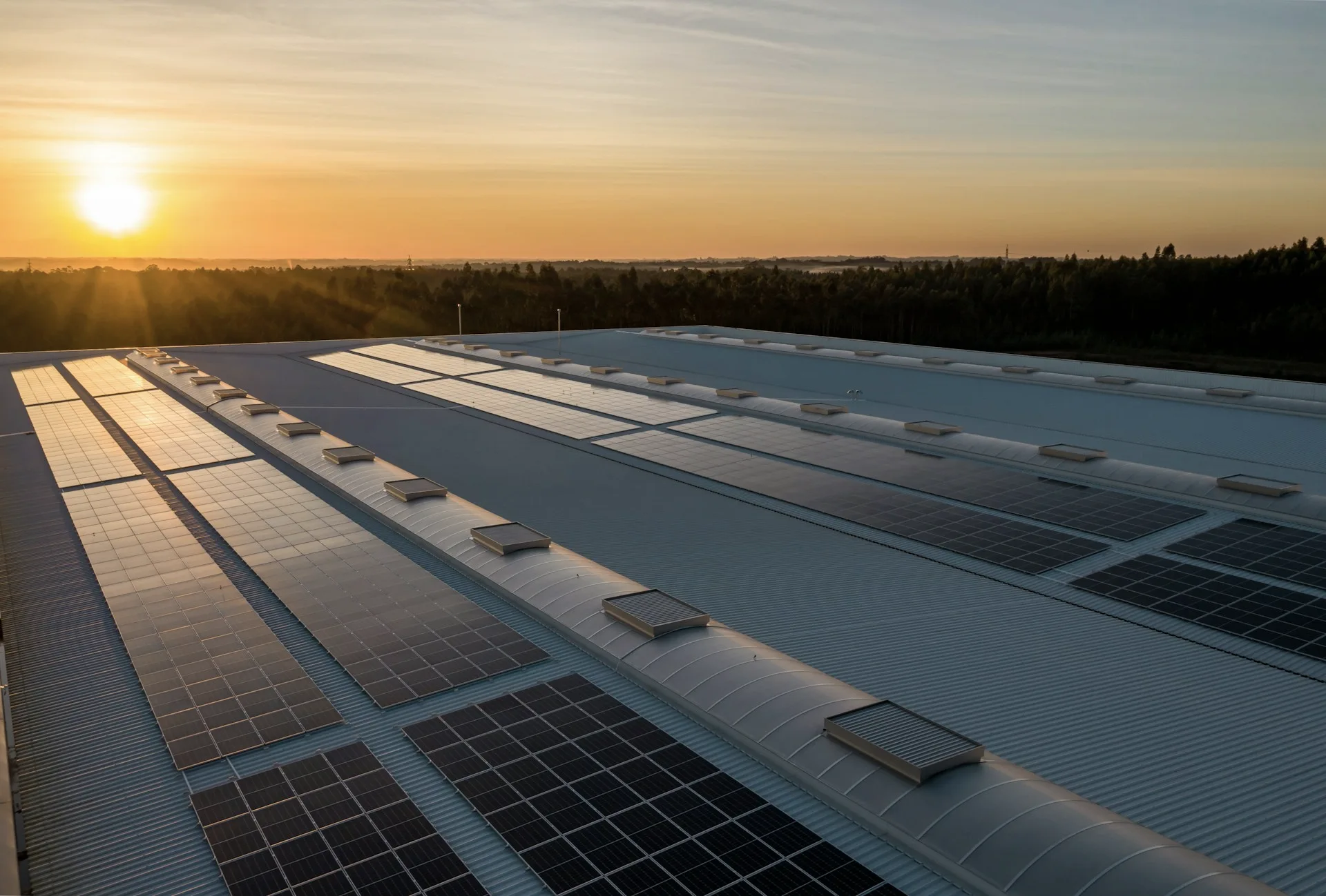 Industry context: Rows of rooftop solar panels in evening light.